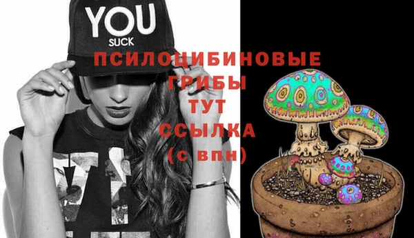 экстази Баксан